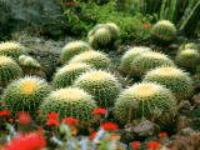 �������y�[�W��